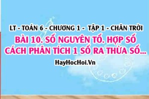 Lý thuyết Toán 6 Bài 10: Số nguyên tố, hợp số và cách phân tích một số ra thừa số nguyên tố?